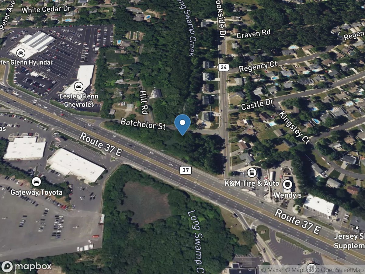 Long Swamp Creek at Batchelor St at Toms River NJ location