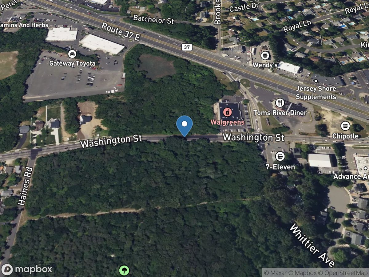 Long Swamp Creek at Toms River NJ location