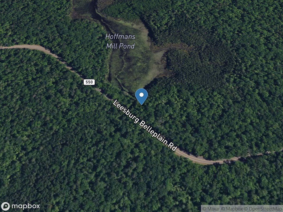 West Creek near Leesburg NJ location