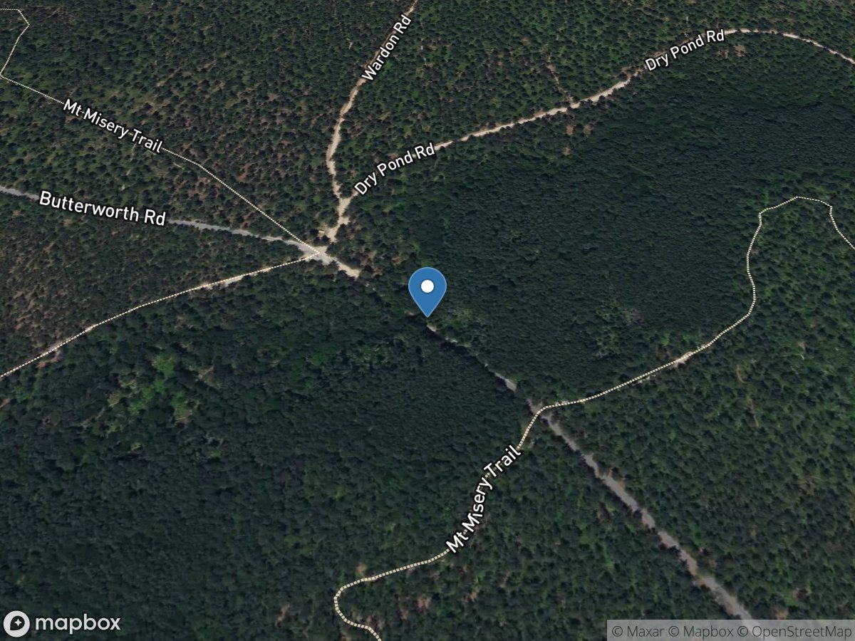 McDonalds Branch in Byrne State Forest NJ location