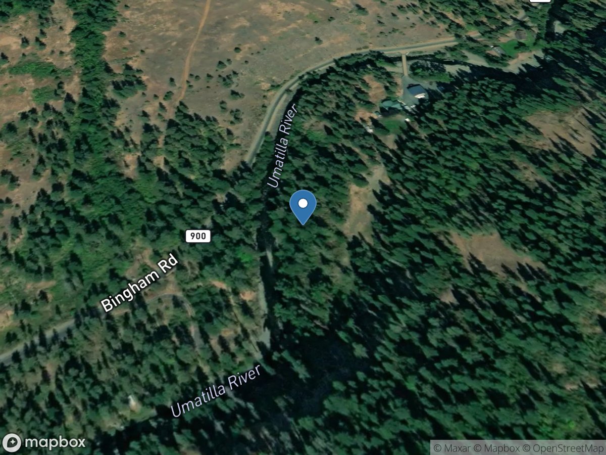 Umatilla River above Meacham Creek, near Gibbon, OR location