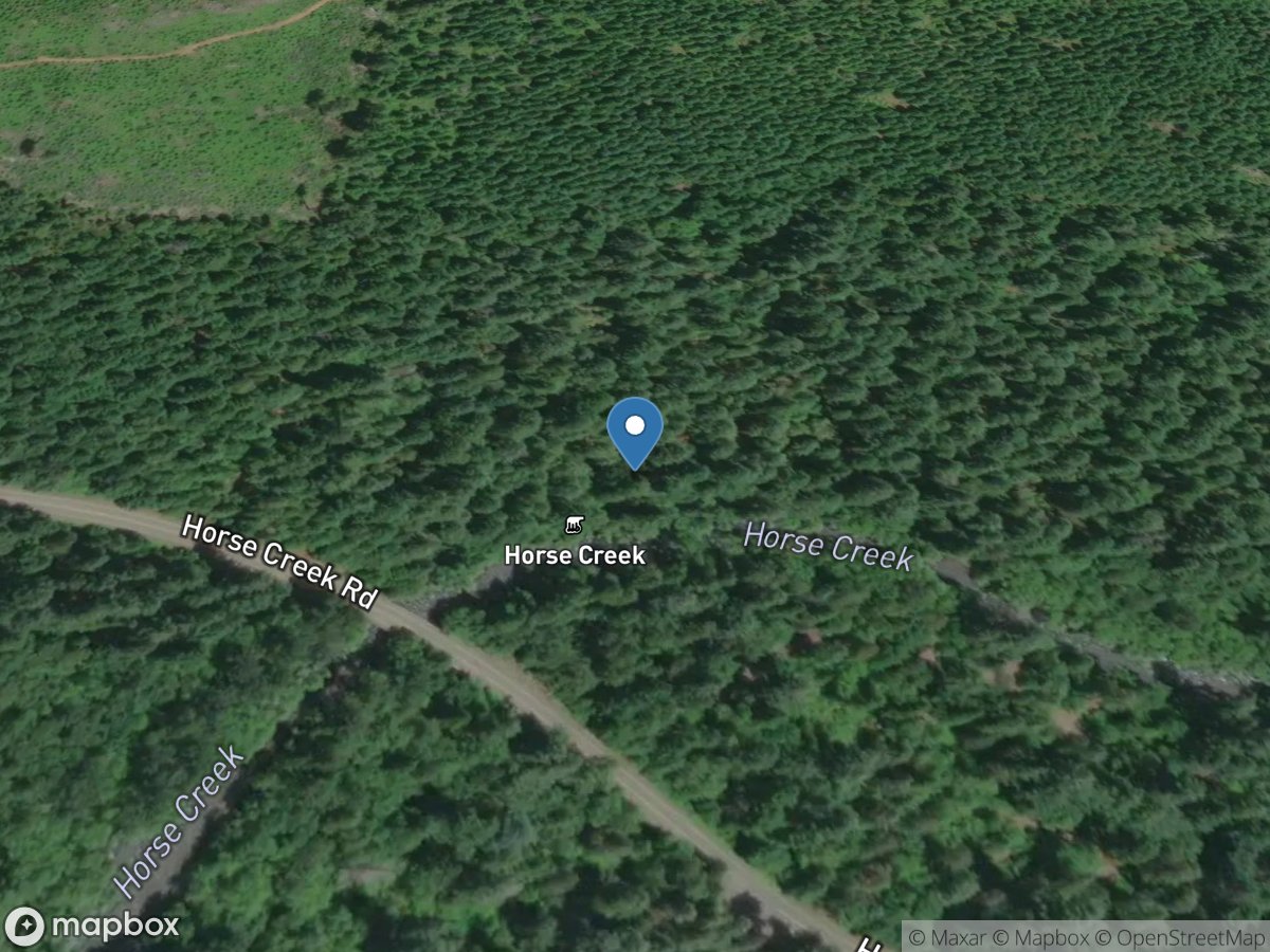 Horse Creek near McKenzie Bridge, OR location