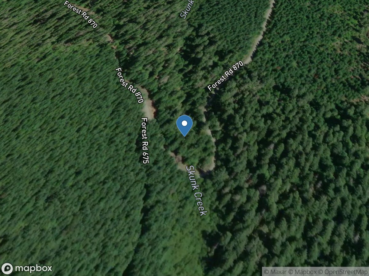 Skunk Creek near Breitenbush Hot Springs, OR location