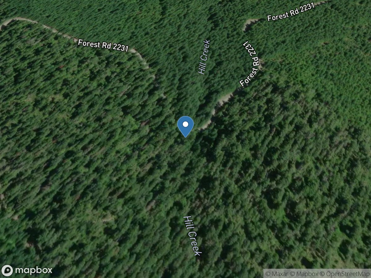 Hill Creek near Breitenbush Hot Springs, OR location