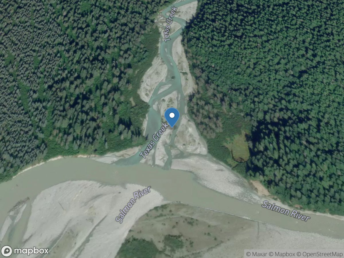 TEXAS Creek Near HYDER AK location