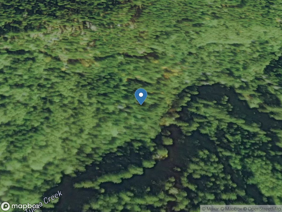 Tucca Creek near Blaine, Or. location