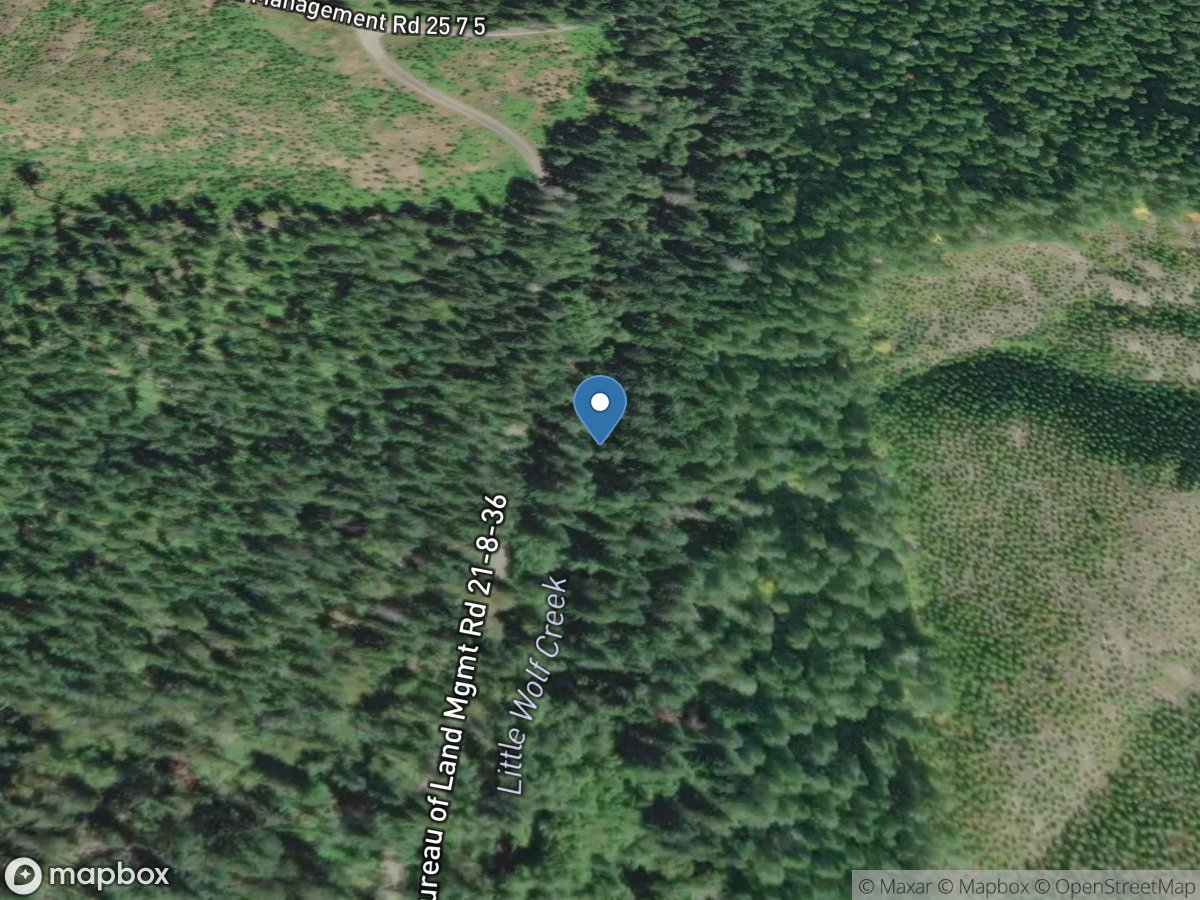 Little Wolf Creek near Tyee, OR location
