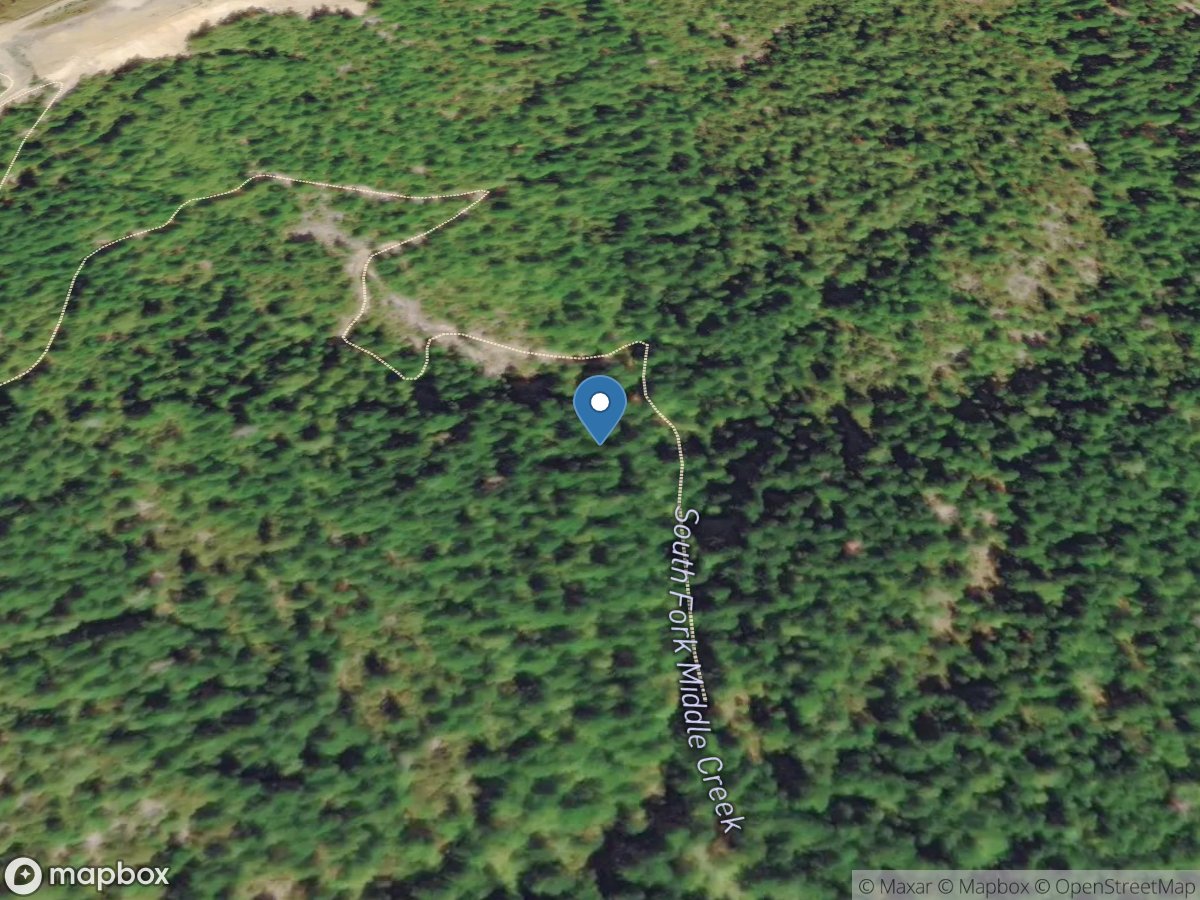 UNNAMED Tributary TO South Fork MIDDLE CRK Near RIDDLE, OR - SFA2 location