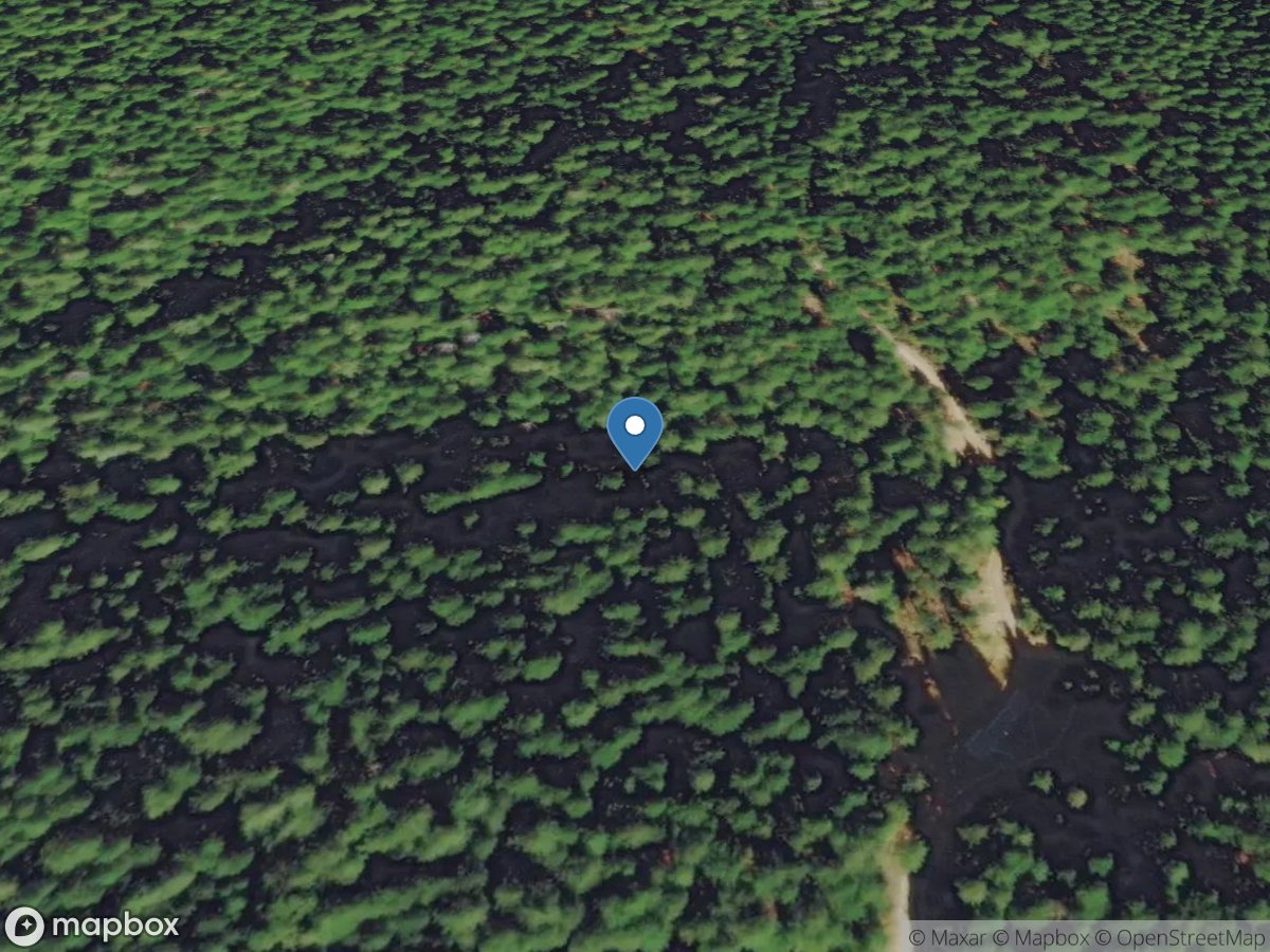 Unnamed Tributary to Middle Creek near Riddle, OR - Mb1 location