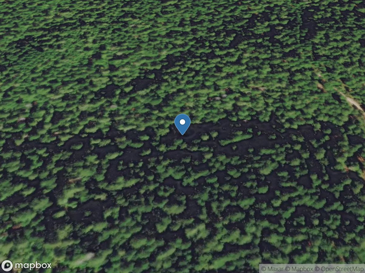 Unnamed Tributary to Middle Creek near Riddle, OR - Rbf location