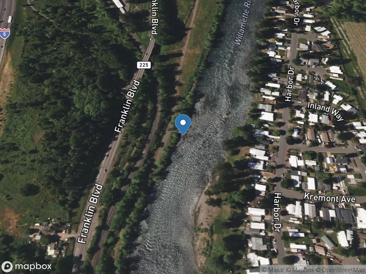 Willamette River below M Fork and Coast Fork Confluence location