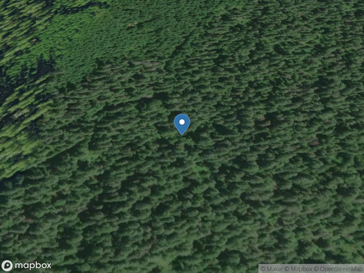 Unnamed Tributary to McRae Creek near Blue River, OR location