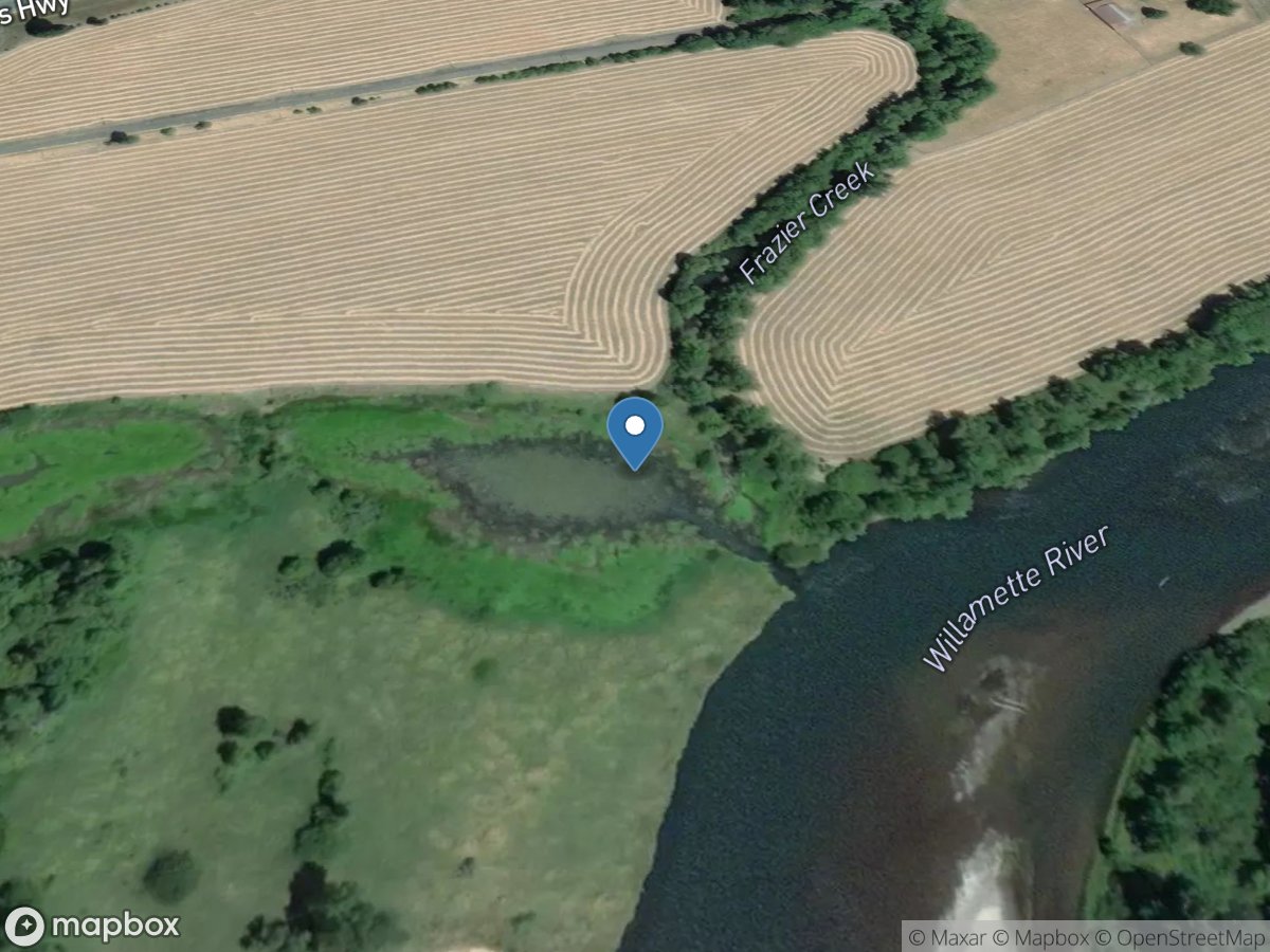 Willamette River Alcove on Lb near RM 122.5 location