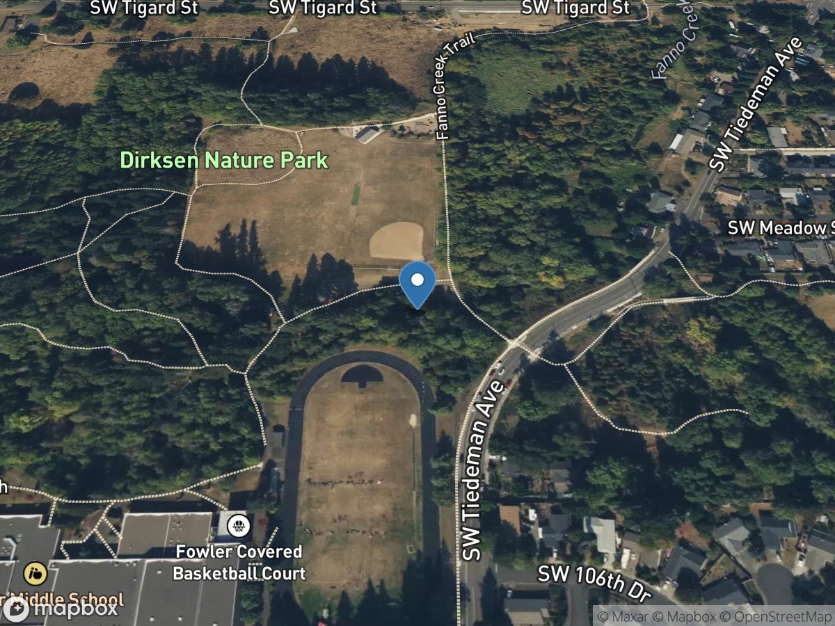 Summer Creek below Fowler Woods Trail, Site 2 location