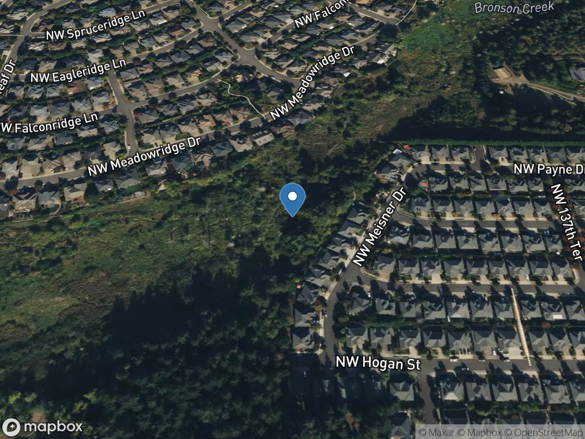 Bronson Creek Ponded Site 5 near Meisner Drive location