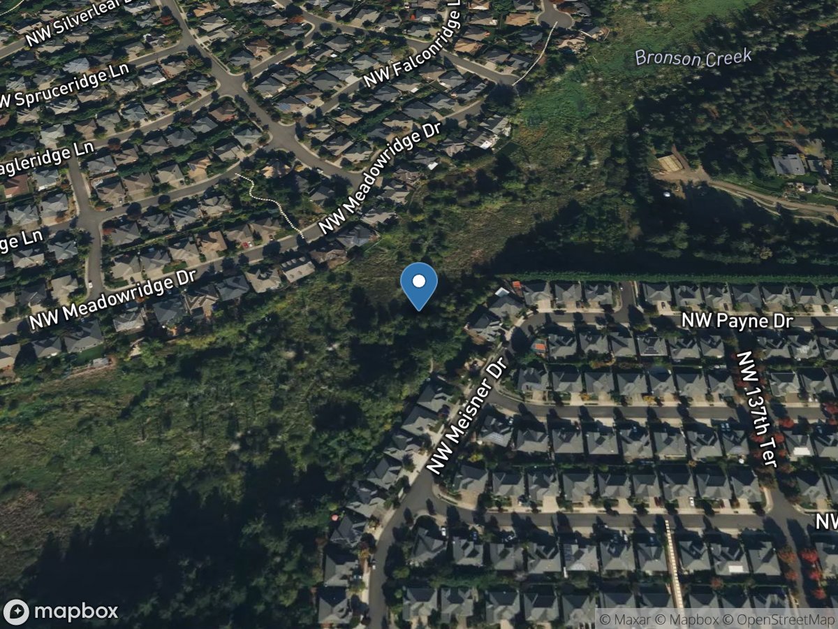 Bronson Creek Ponded Site 4 near Meisner Drive location