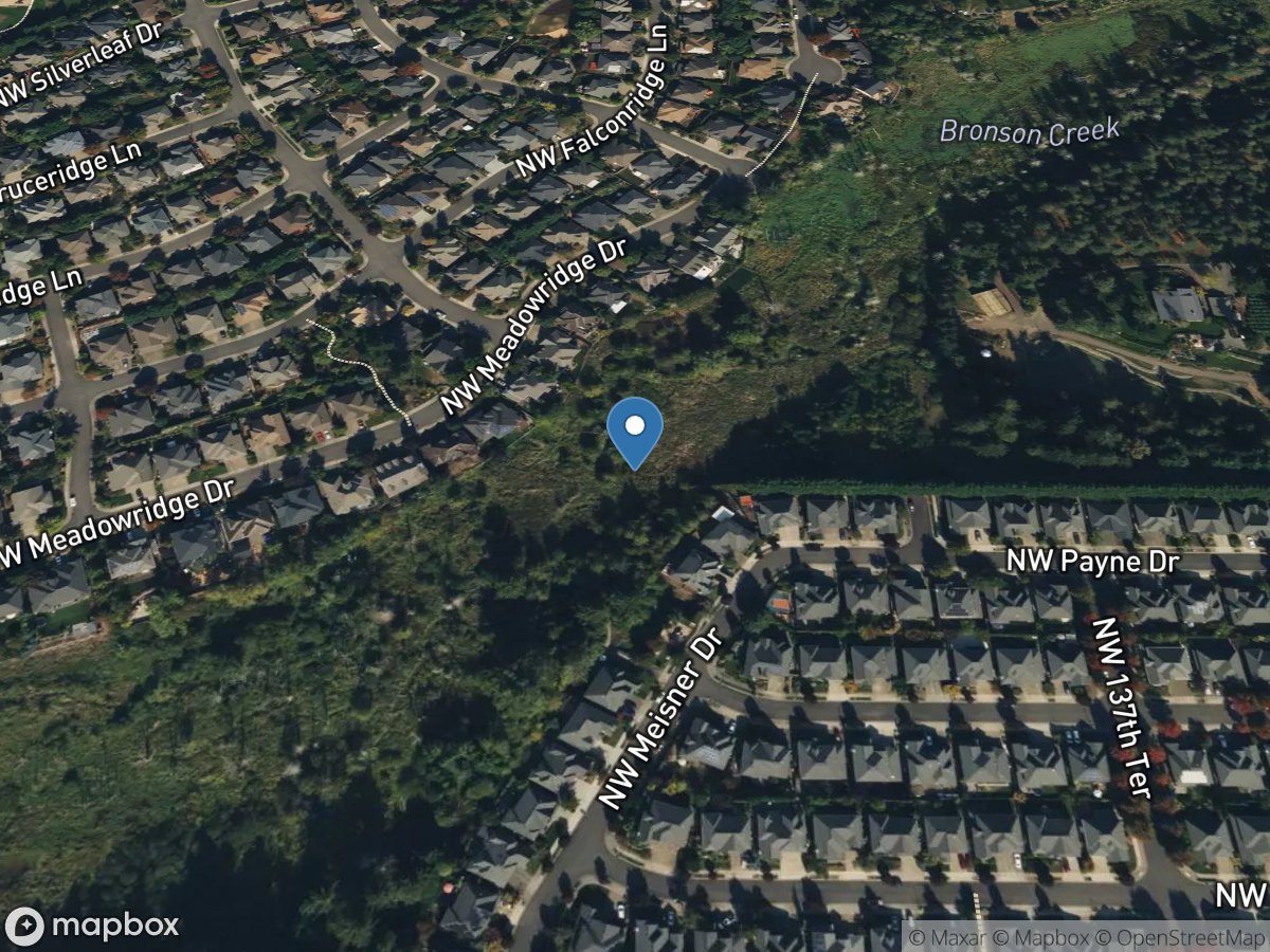 Bronson Creek Ponded Site 1 near Meisner Drive location