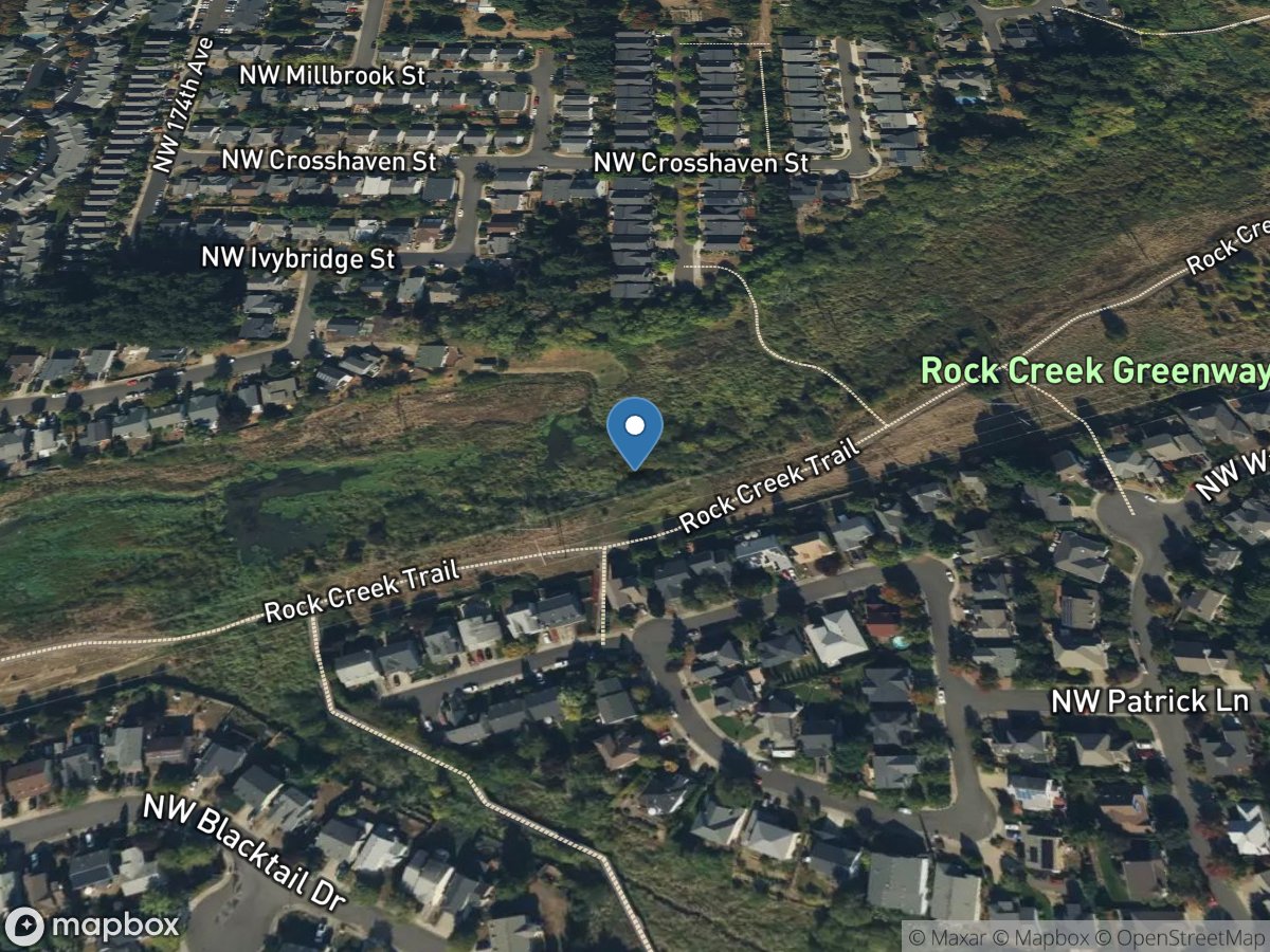 Springville Creek near Lark Meadow Terrace location