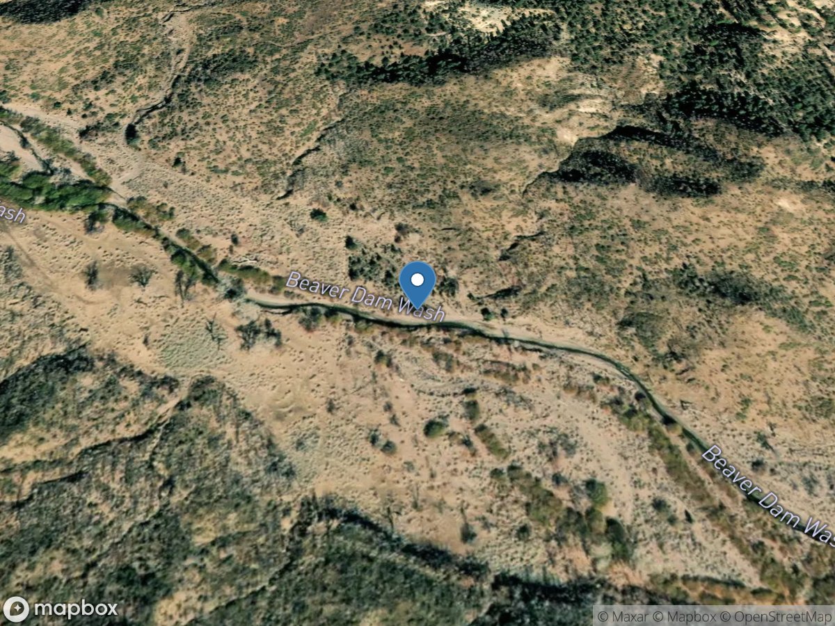 Beaver DAM Wash near Enterprise, UT location