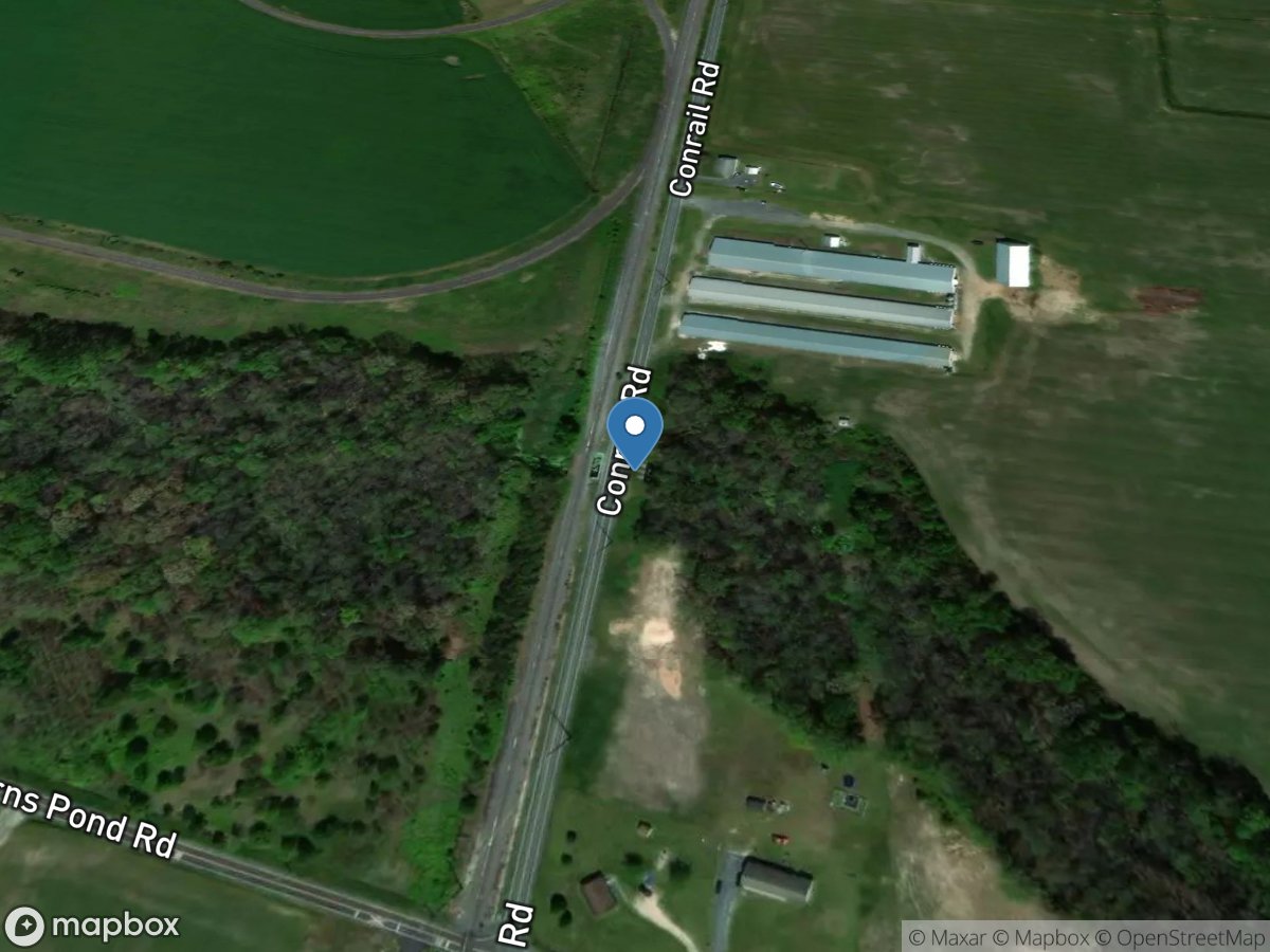 Bucks Branch Ds of Conrail Road at Cannon, DE location