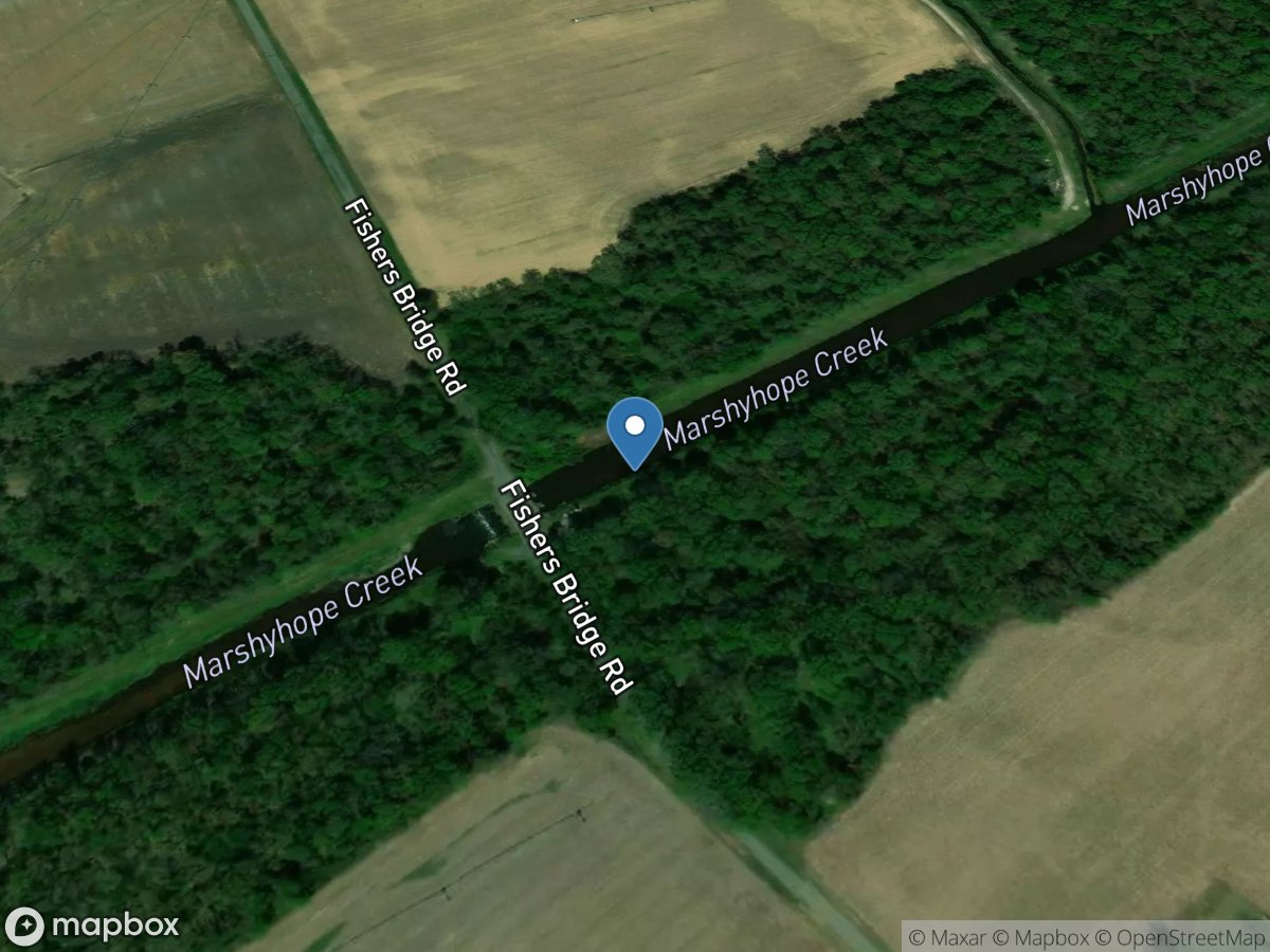 Marshyhope Creek near Adamsville, DE location