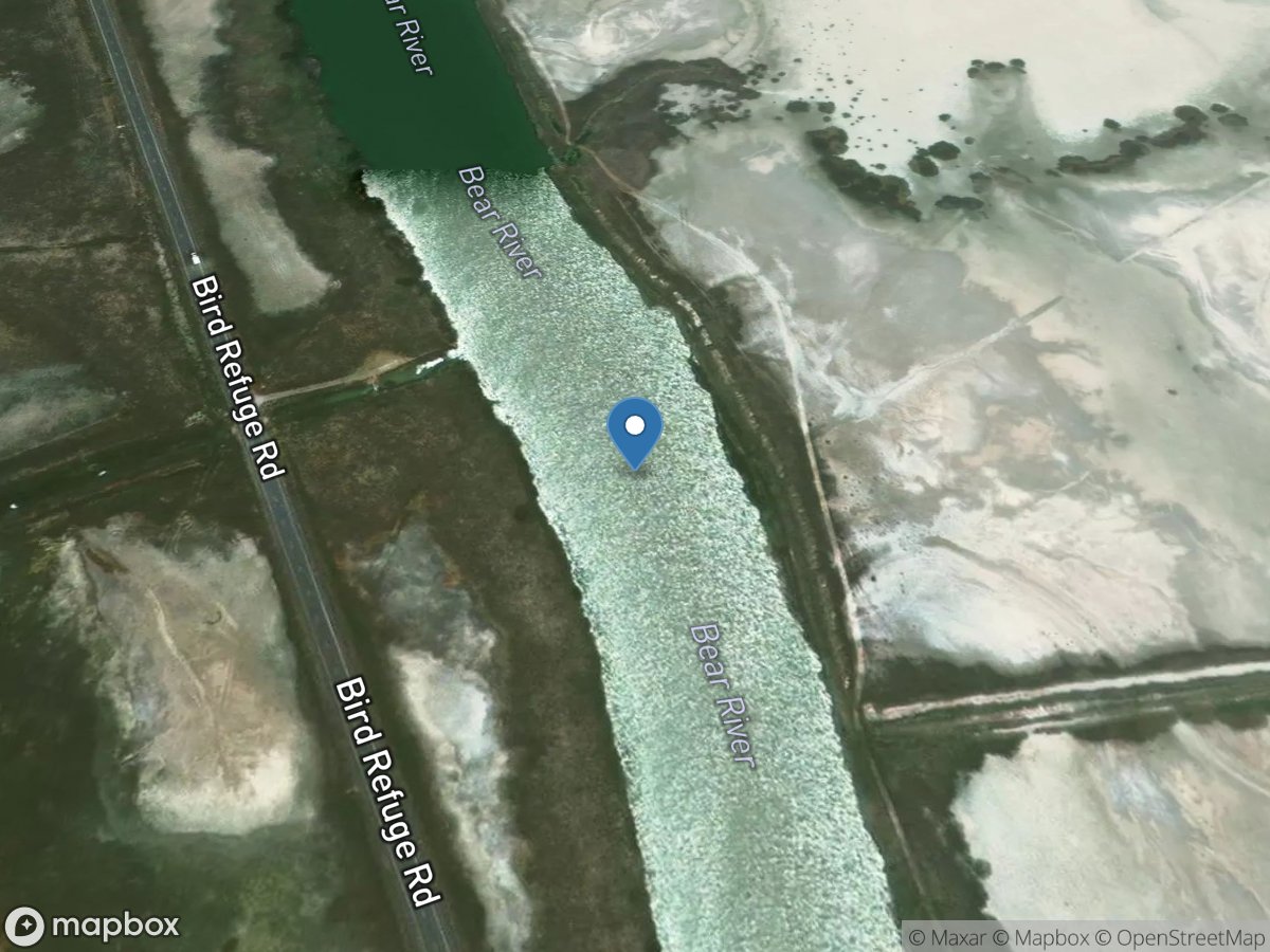 Bear River below O-Line Canal location