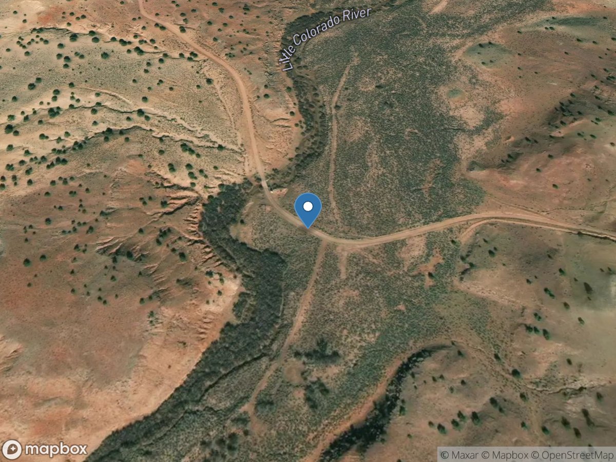 Little Colorado Rvr below Zion Res. near ST Johns, AZ location