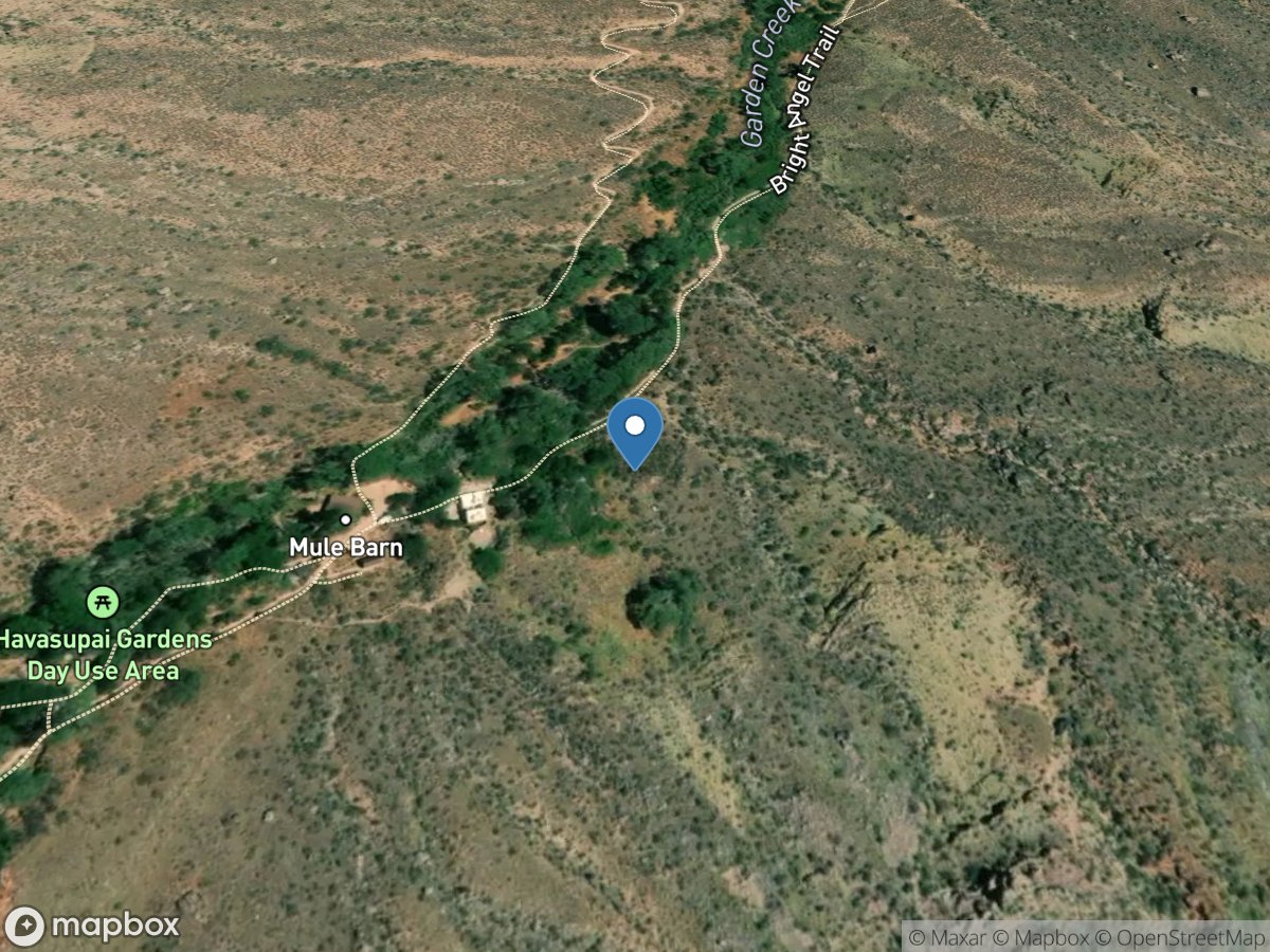 Pump House Wash Spring near Grand Canyon, AZ location