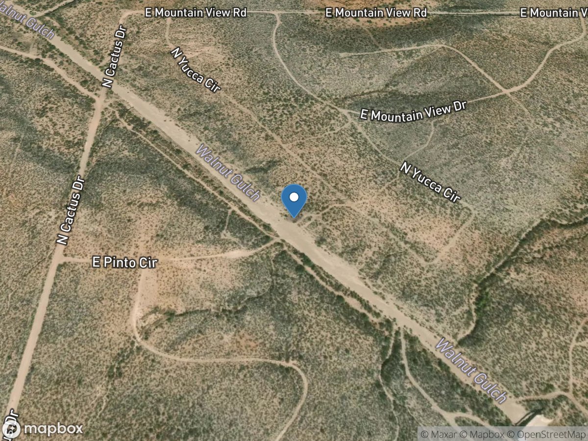 Walnut Gulch below Ars Flume 6, near Tombstone, AZ location