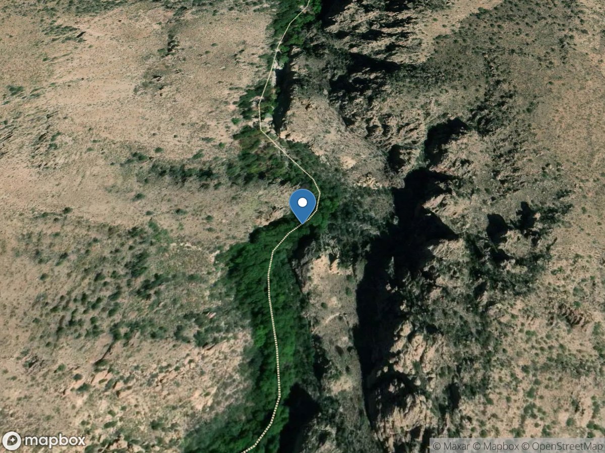 Redfield Cyn below Sycamore Cyn, near Redington, AZ location