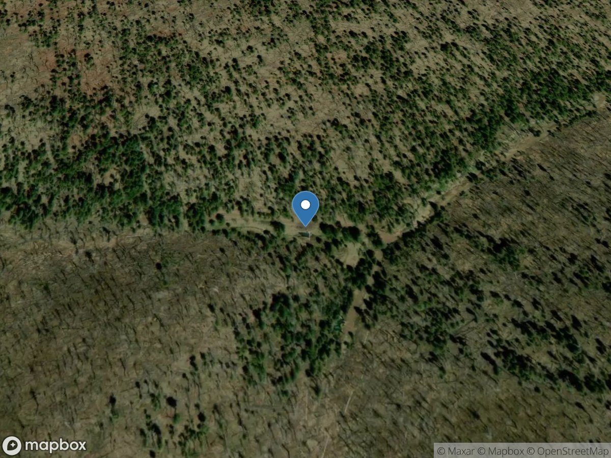 North Fork Thomas Creek near Alpine, AZ location