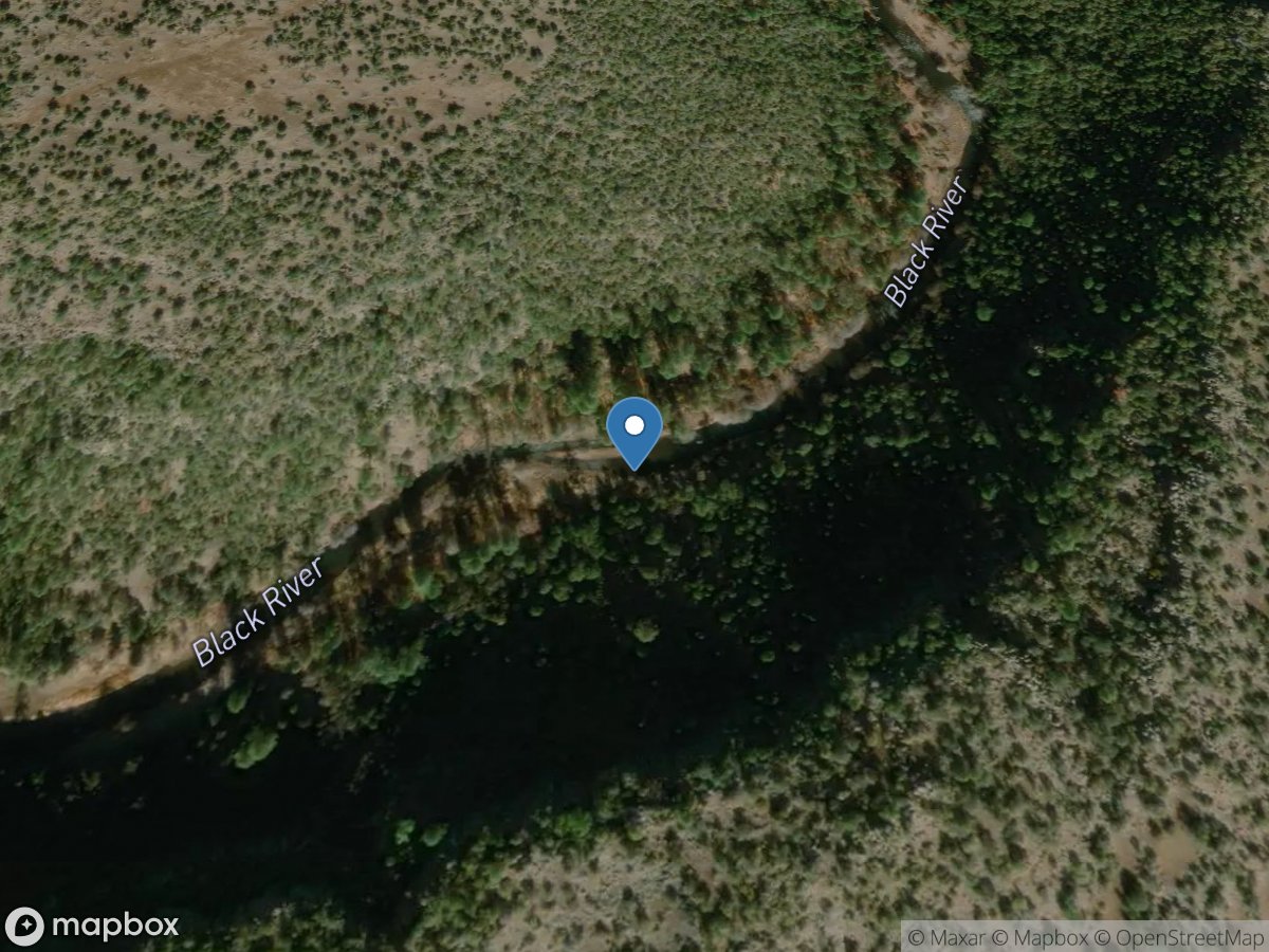 Black Rvr below Pumping Plant, near Point of Pines, AZ location