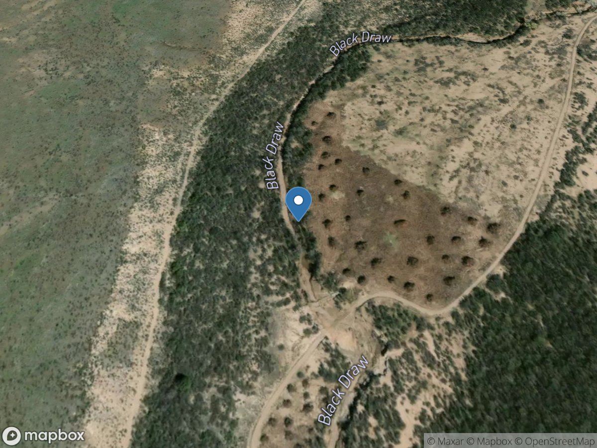 Black Draw at San Bernardino Nwr near Douglas, AZ location