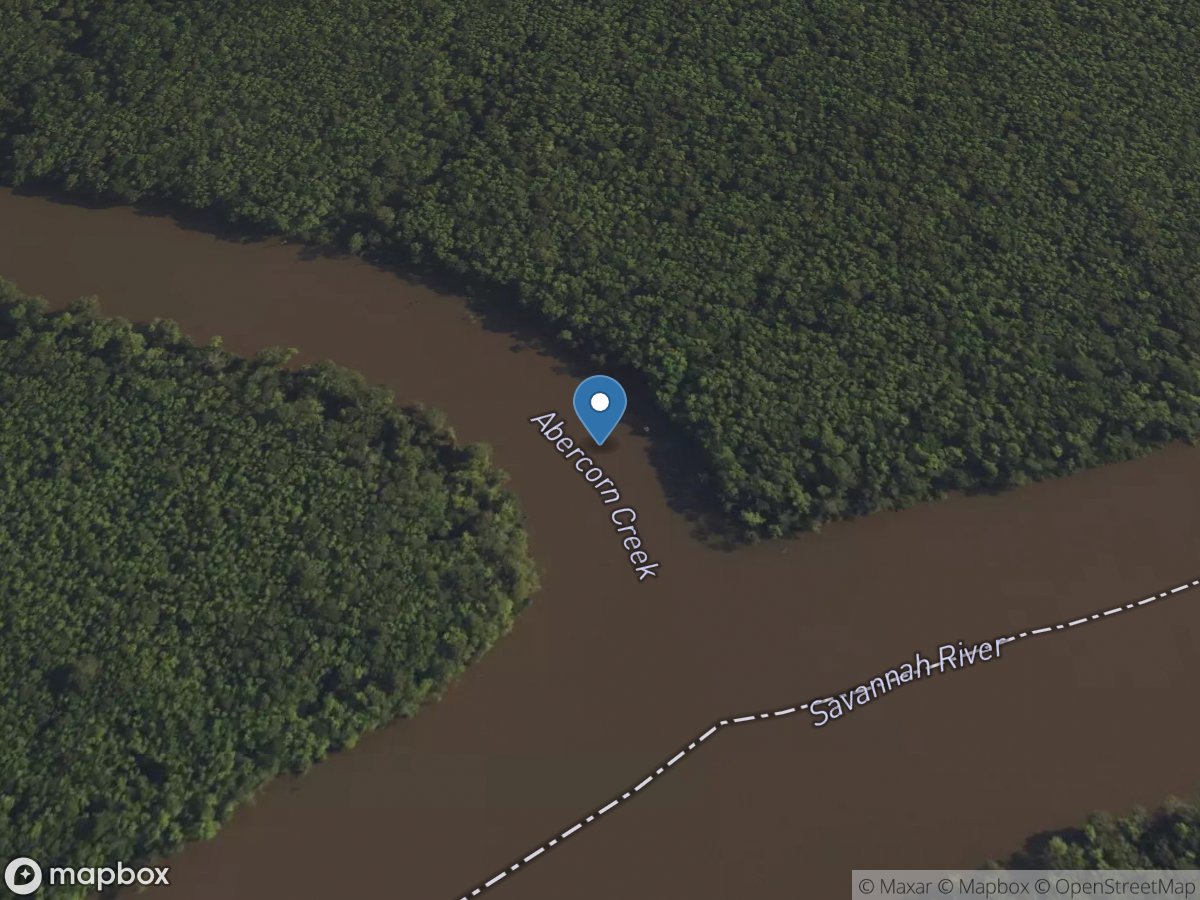 Abercorn Creek at Mouth near Savannah, GA location