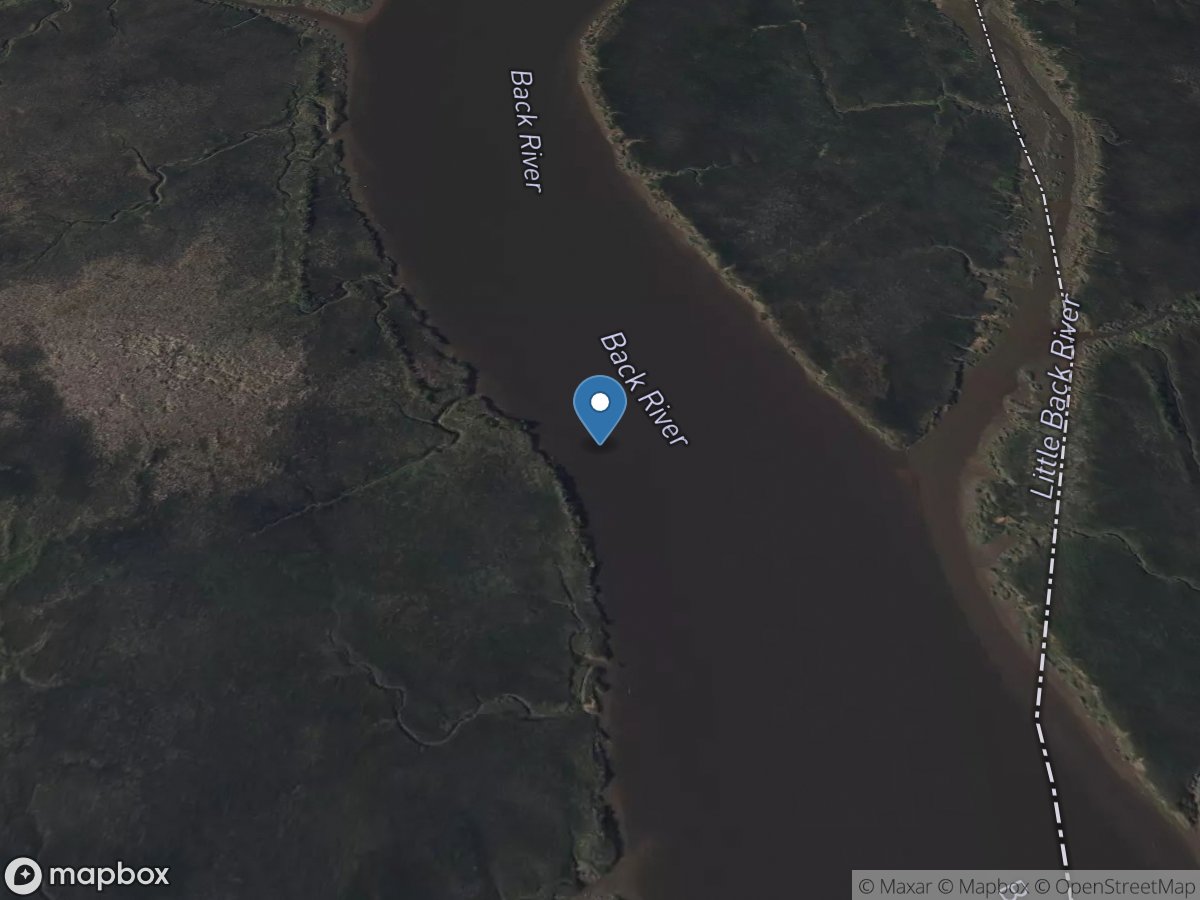 Little Back River at Hog Island, near Savannah, GA location