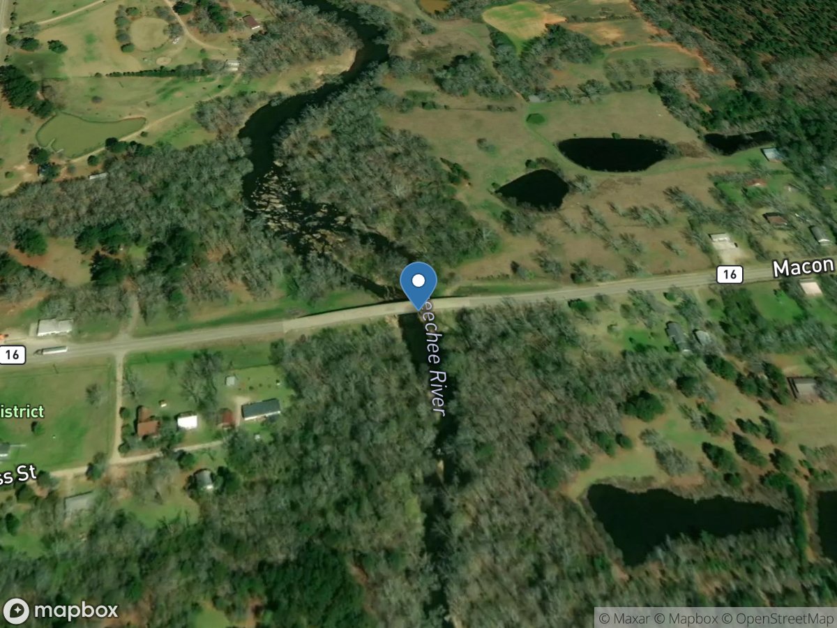 Ogeechee River at GA 16, at Jewell, GA location