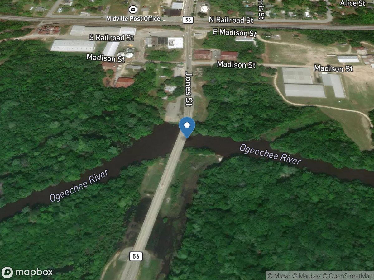 Ogeechee River at Midville, GA location