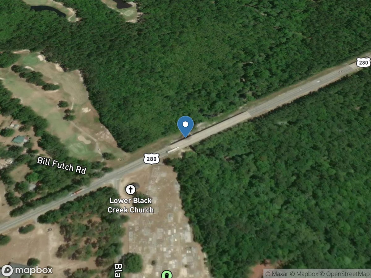 Black Creek near Blitchton, GA location