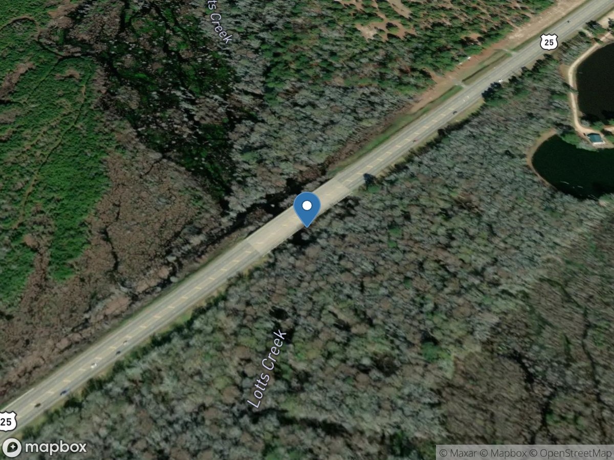 Lotts Creek at US 25, near Statesboro, GA location