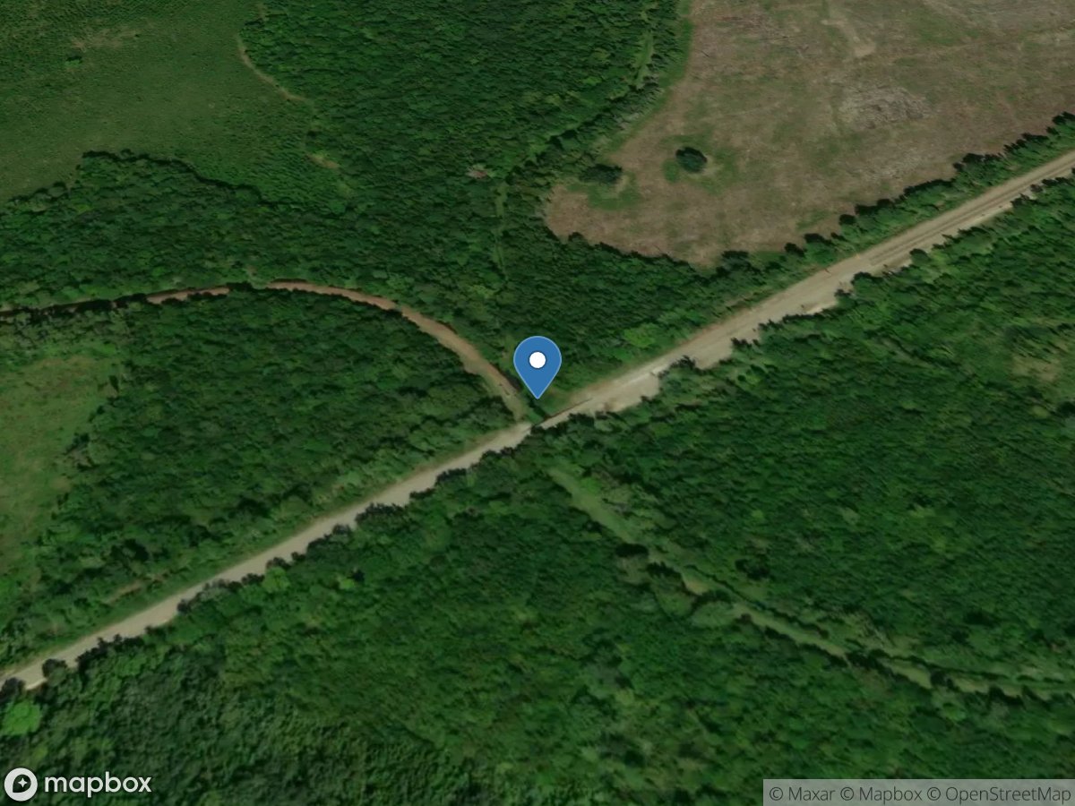 Peacock Creek at Atlantic Rr Line near McIntosh, GA location