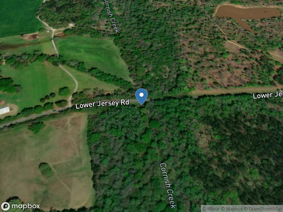 Cornish Creek at Lower Jersey RD, near Covington, GA location