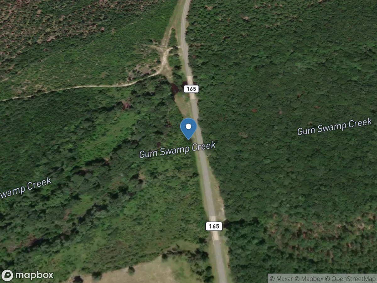 Gum Swamp Creek at GA 165, near Chauncey, GA location