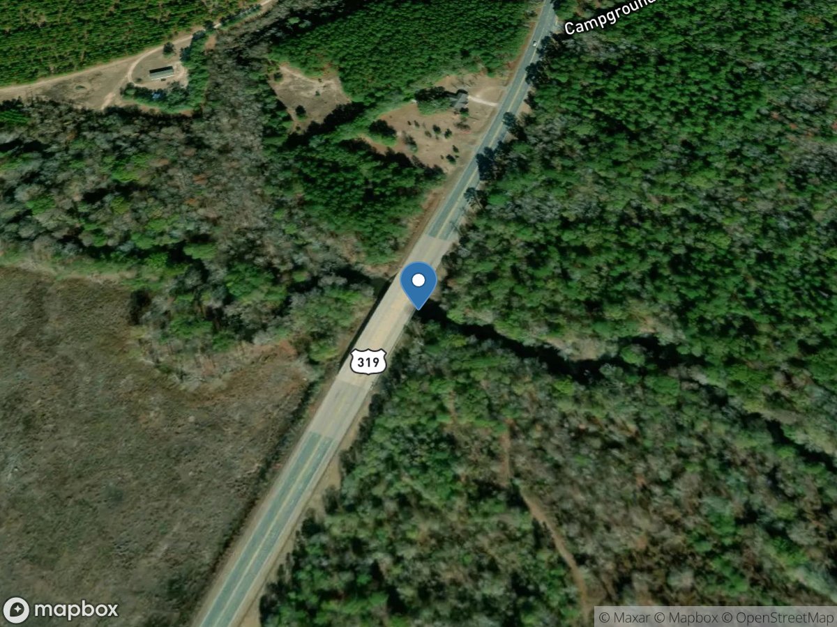 Turkey Creek at US 441, near Dublin, GA location