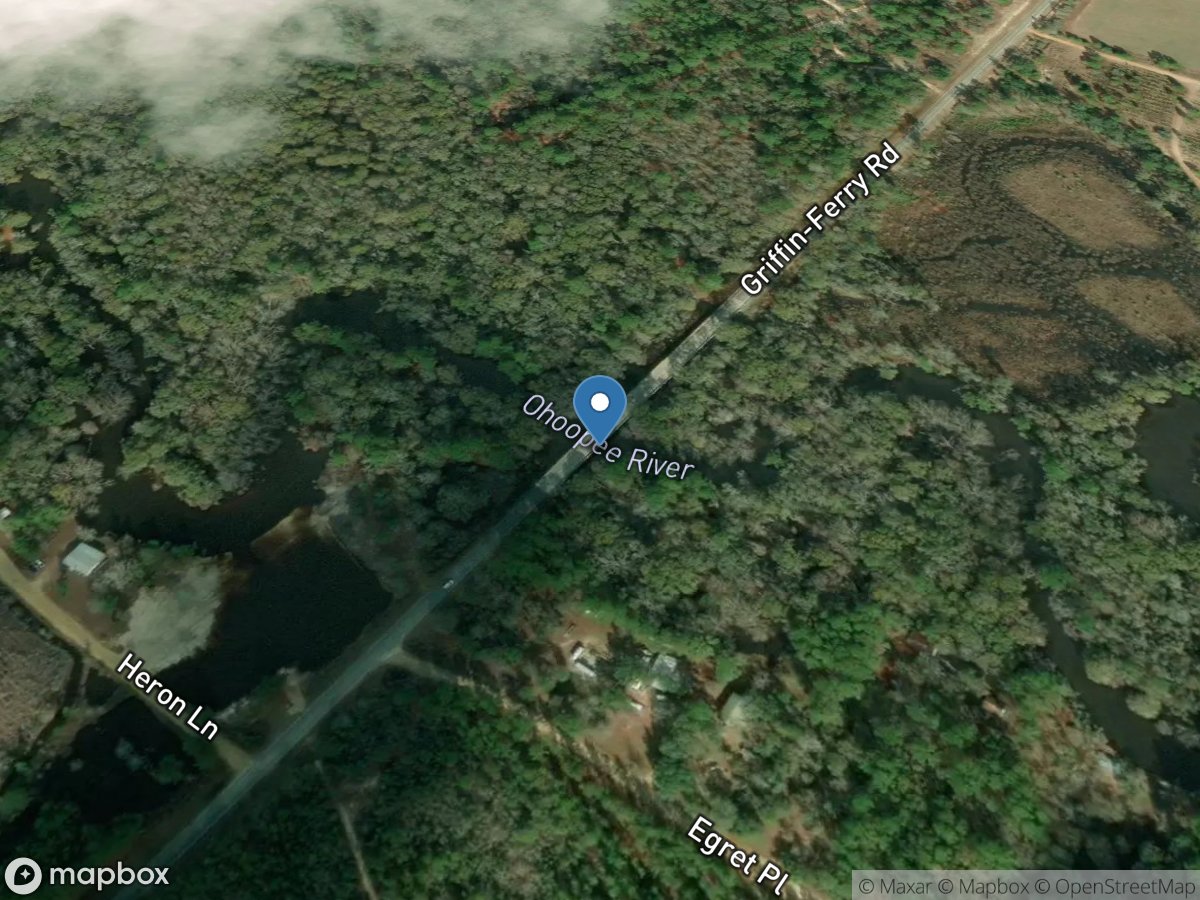 Ohoopee River near Aline, GA location