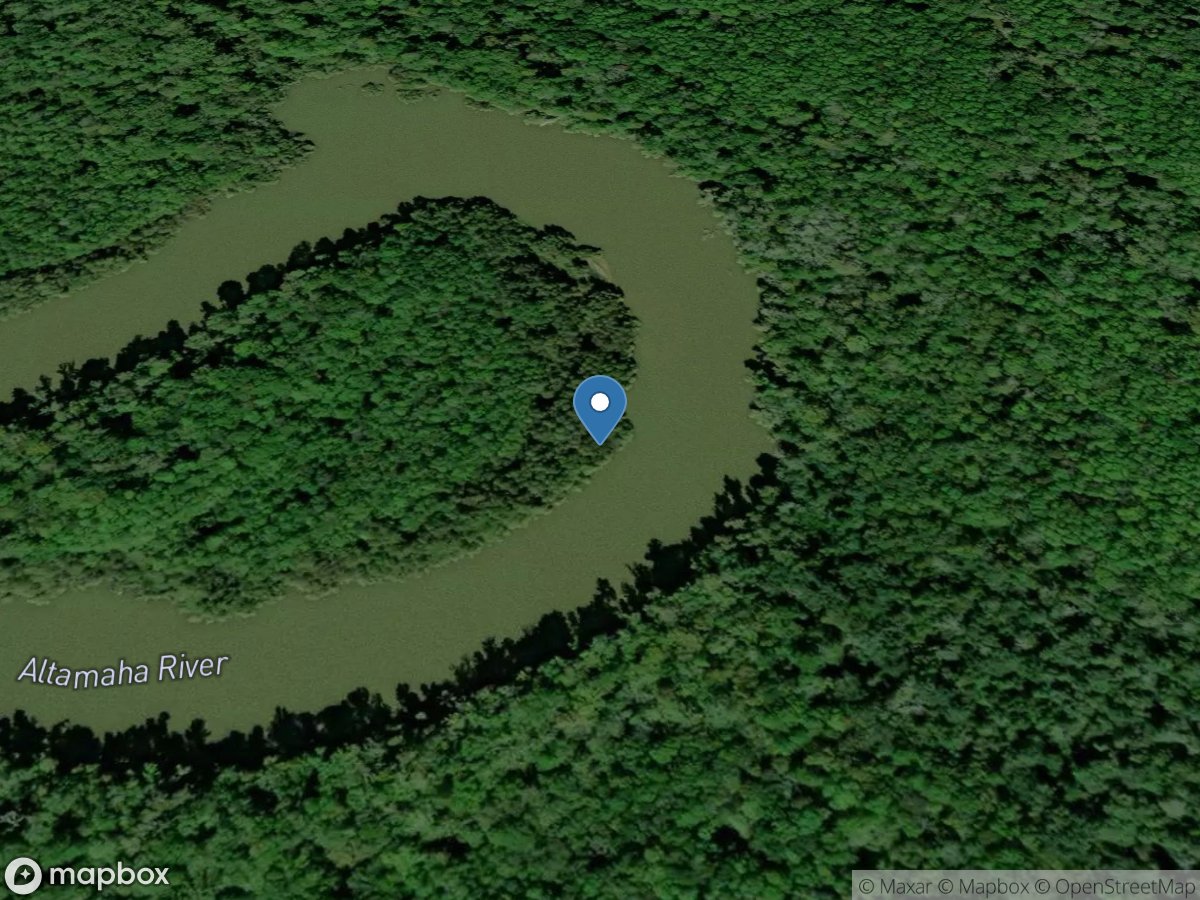 Altamaha River near Gardi, GA location