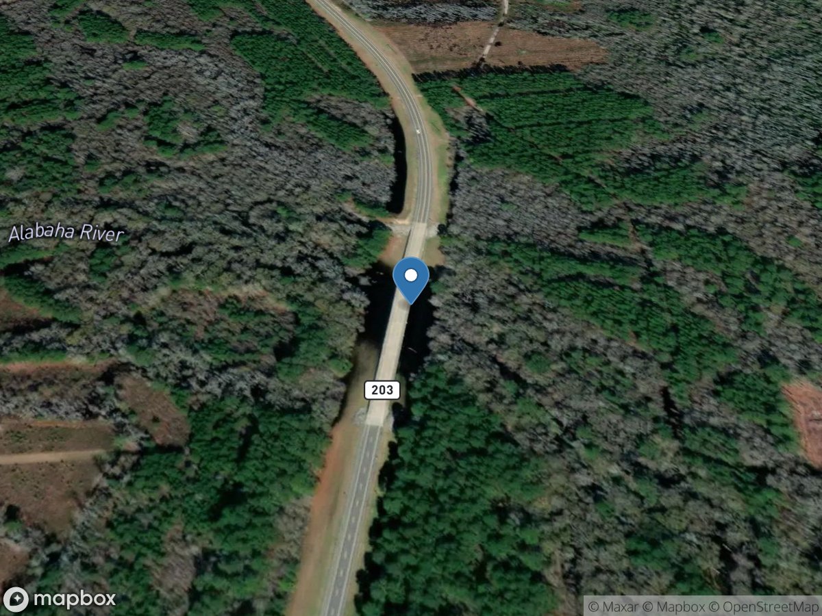 Alabaha River at GA 203, near Blackshear, GA location