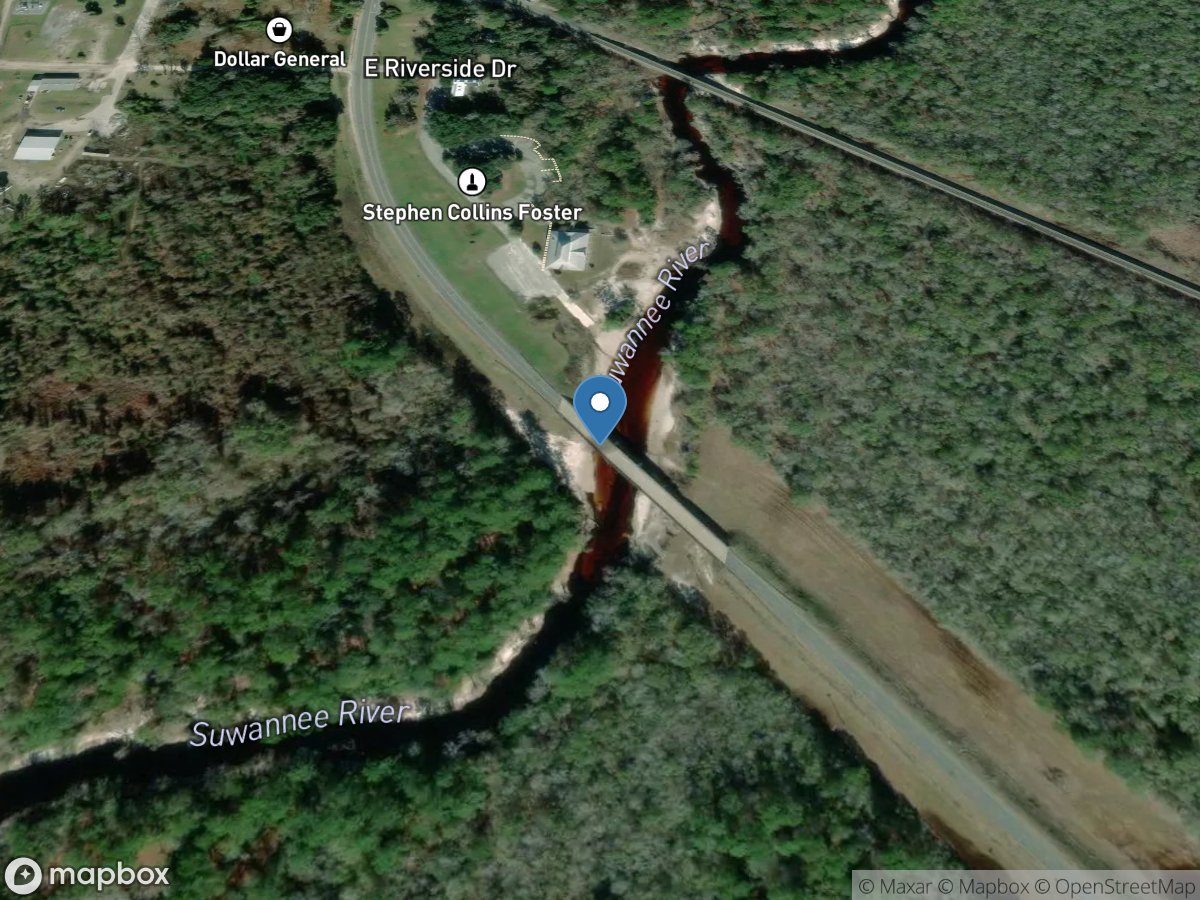 Suwannee River at US 441, at Fargo, GA location