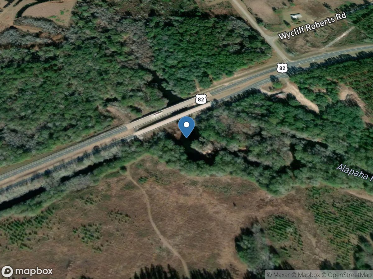 Alapaha River near Alapaha, GA location