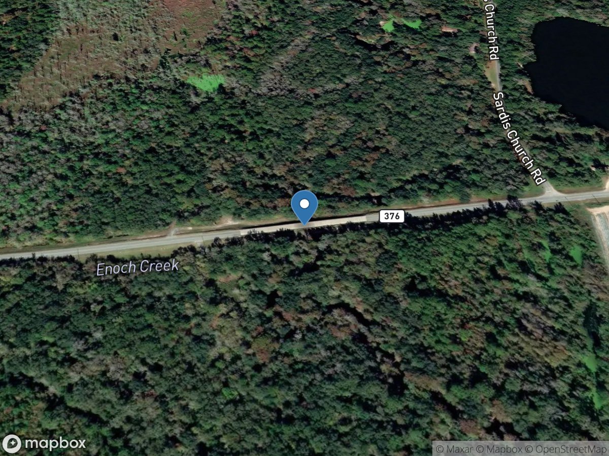 Alapahoochee River at GA 376, near Statenville, GA location