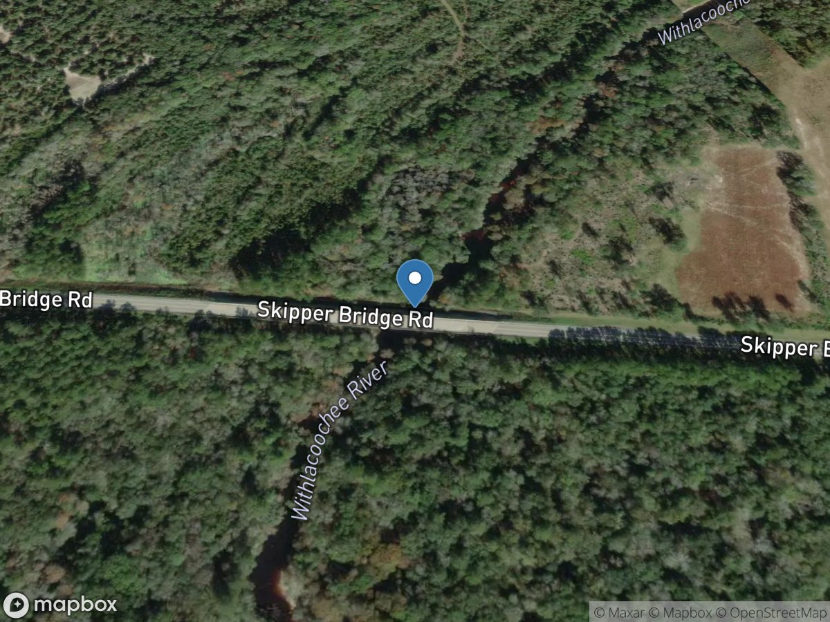 Withlacoochee River at Skipper Bridge RD,NR Bemiss, GA location